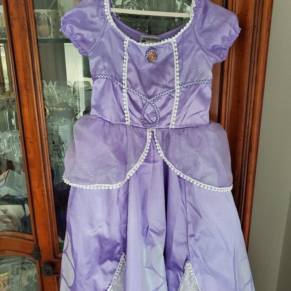 Disney Dress